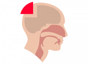 Apnea central